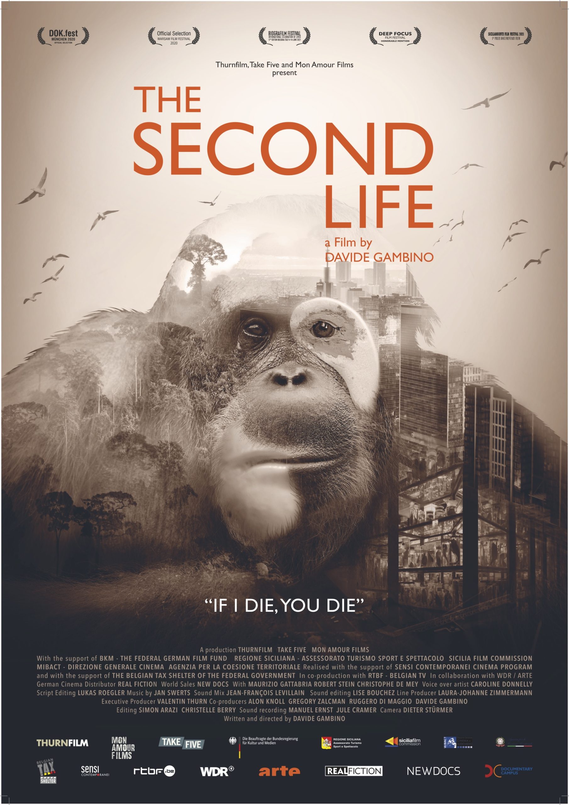 The second life