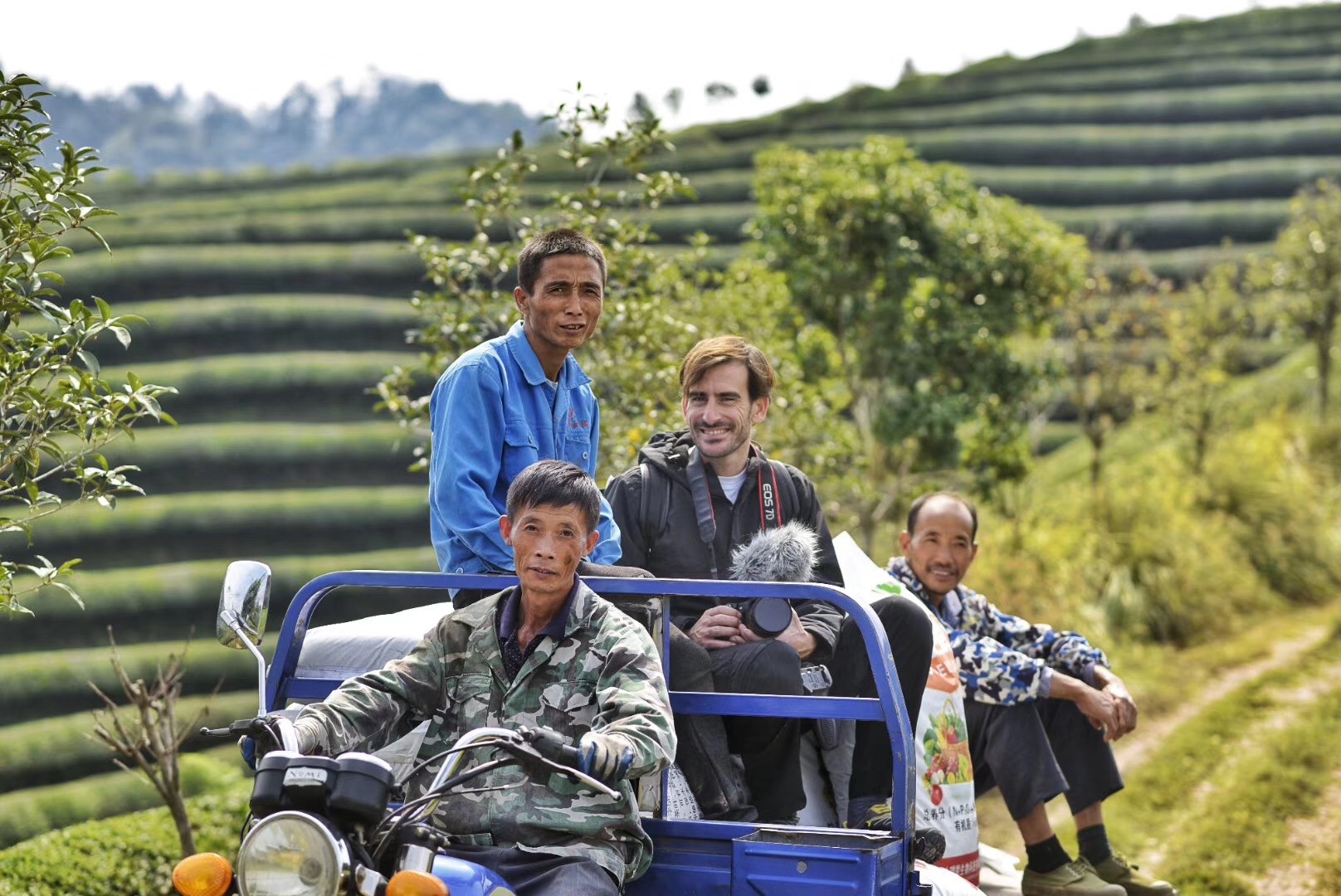 Backstage_Tea gardens_Dazhangshan